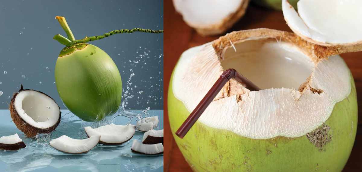 water forms inside a coconut