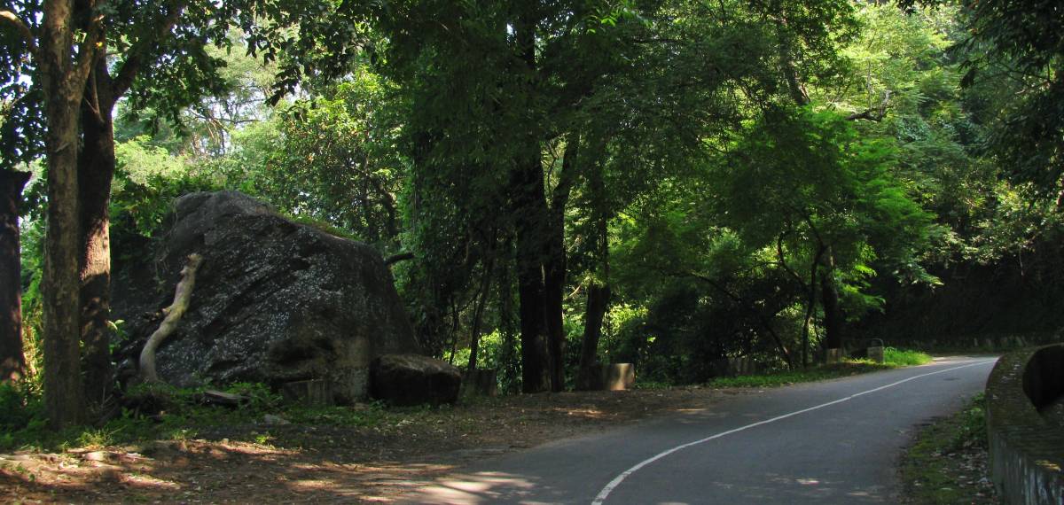 നെല്ലിയാമ്പതിയില് രാത്രി യാത്രയ്ക്കും വിനോദസഞ്ചാരത്തിനും കര്ശന നിയന്ത്രണം
