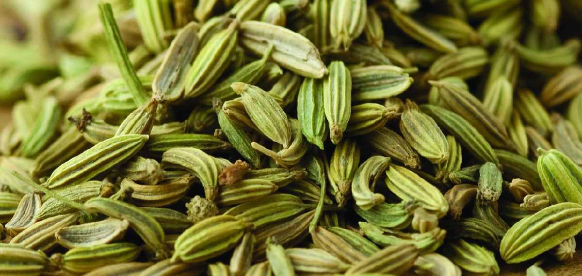 fennel seeds taste sweet