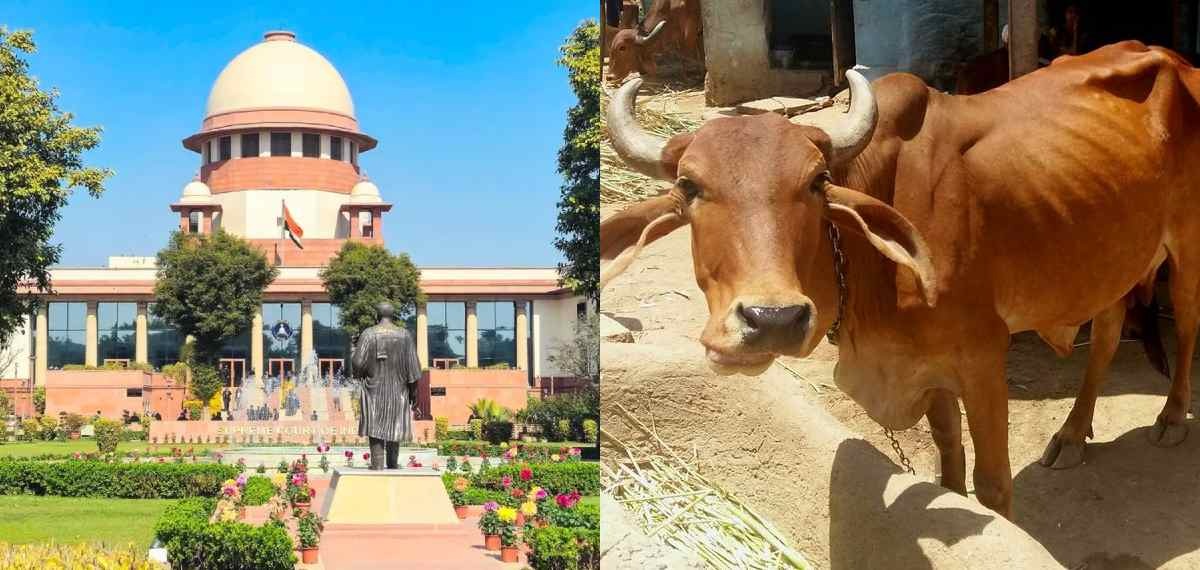 തമിഴ്നാട്ടില് ഗോവധം നിരോധിച്ച മദ്രാസ് ഹൈക്കോടതി ഉത്തരവ് തടഞ്ഞ് സുപ്രീംകോടതി