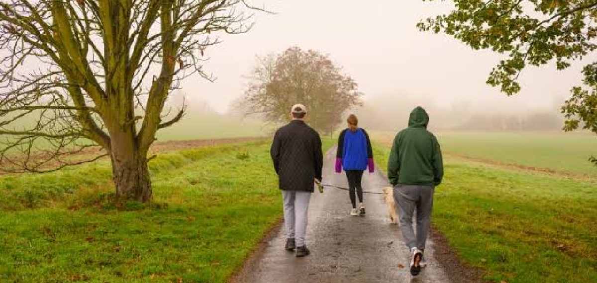walking for 30 minutes daily