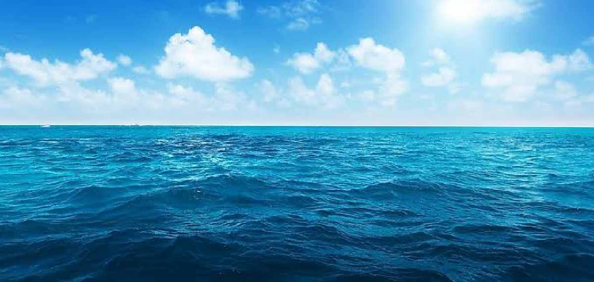 Where did so much water on Earth