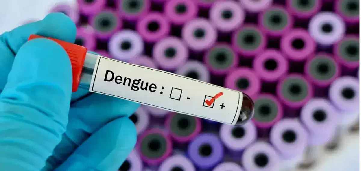 dengue vaccine in india
