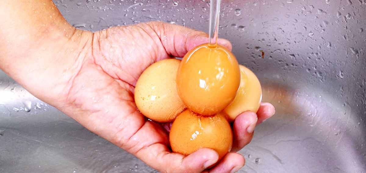 Do not wash eggs