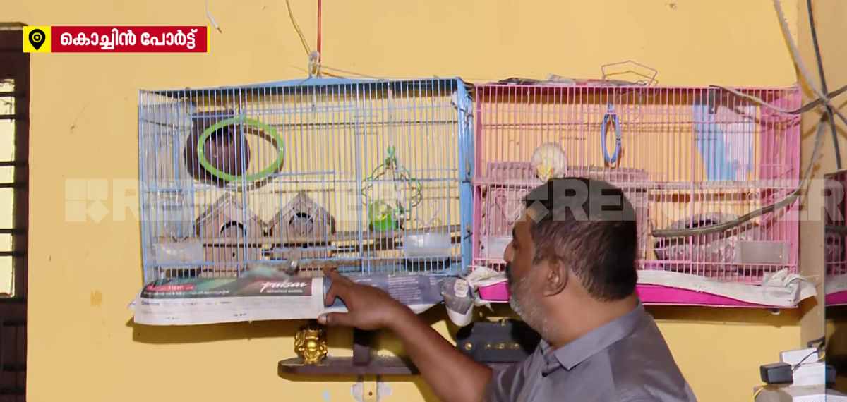 തീറ്റയില്ലാതെ 20 ദിവസം; കൊച്ചിൻ പോർട്ടിന്റെ പൂട്ടിയിട്ട ക്വാർട്ടേഴ്സിൽ കിളികളും മീനുകളും ജീവനറ്റ നിലയിൽ