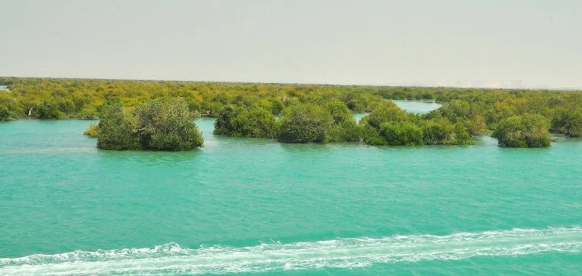Greenery on Iran's arid Qeshm Island is dramatically centered on the Hara Mangrove Forests, a stunning 2,400-hectare marine biosphere reserve in the Khuran Strait
