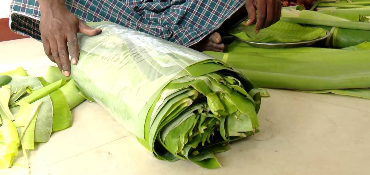 banana leaf