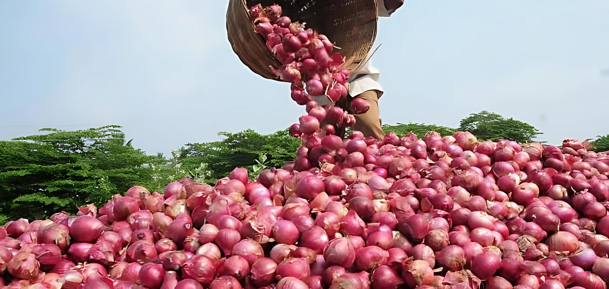 ഉള്ളി വില കുതിക്കുന്നു; വിലക്കയറ്റത്തിന് തടയിടാൻ ഉള്ളിയുമായി  "കാണ്ട എക്സ്പ്രസ്" ഇറക്കി കേന്ദ്രം
