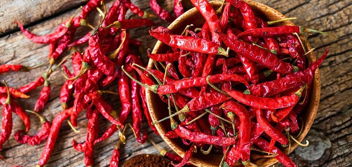 chilli capital of India