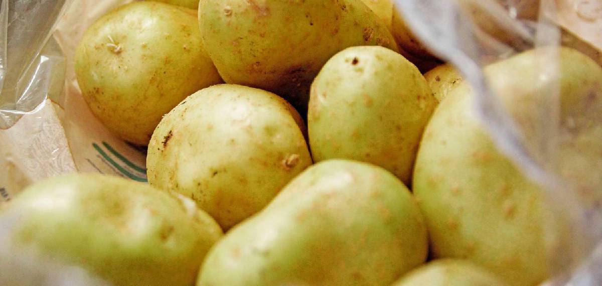 potatoes turn black when cut