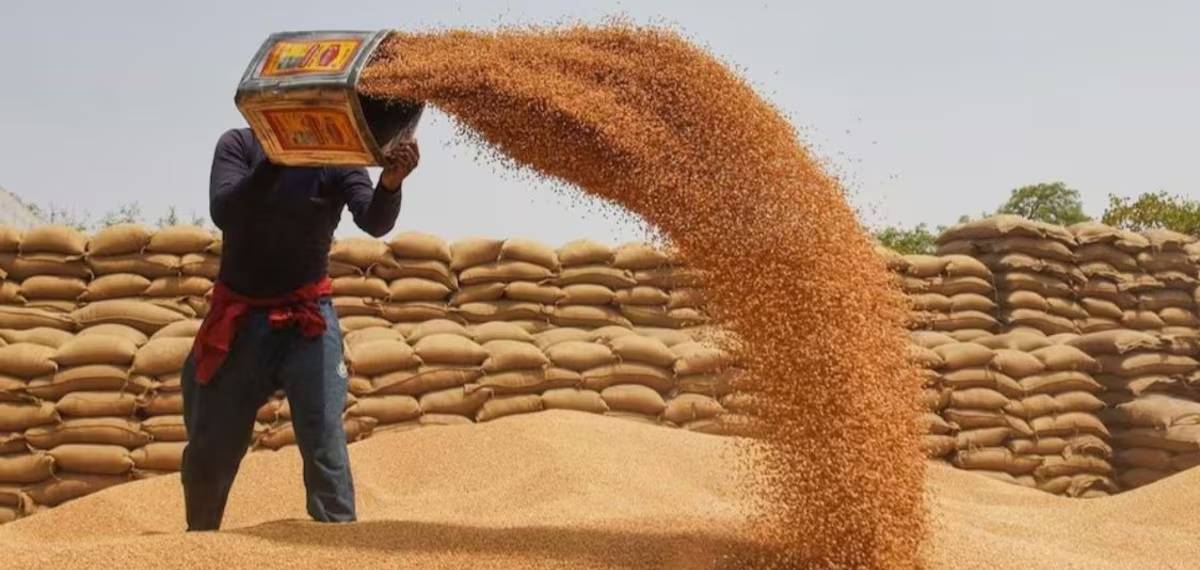 കയറ്റുമതി നിയന്ത്രണം നീക്കിയതിന് പിന്നാലെ ഇന്ത്യൻ ഗോതമ്പ് വില കുതിച്ചു; ക്വിന്റലിന് 150 രൂപ വരെ വർധന