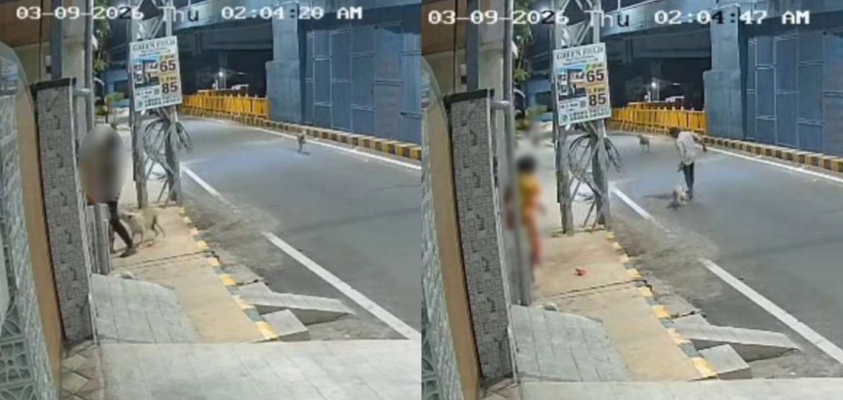 മാനസിക വെല്ലുവിളി നേരിടുന്ന യുവതിയെ നടുറോഡിൽ ആക്രമിക്കാൻ ശ്രമം; രക്ഷകരായി തെരുവുനായ്ക്കള്