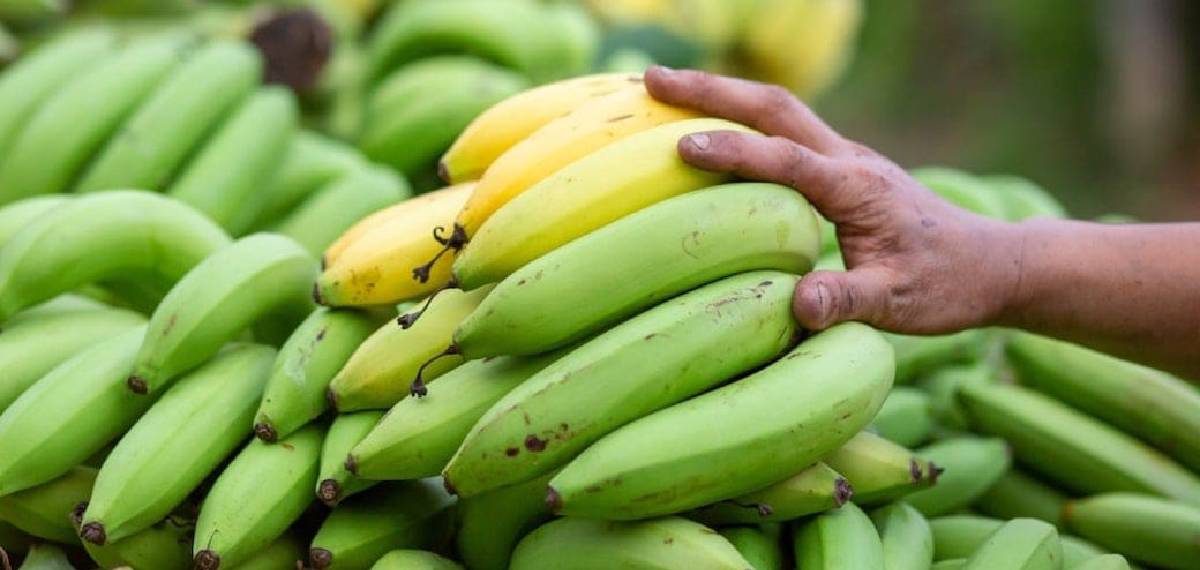 people with diabetes eat bananas