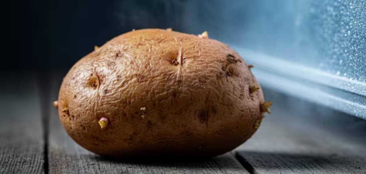 storing potatoes in the refrigerator