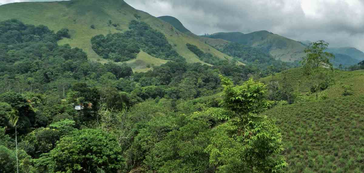 പരിസ്ഥിതി ലോല മേഖലാ കരട് വിജ്ഞാപനം: ജനവാസ മേഖലകളും കാർഷിക മേഖലകളും ഒഴിവാക്കണം; ആശങ്ക അറിയിച്ച് ക്രൈസ്തവ സഭകൾ