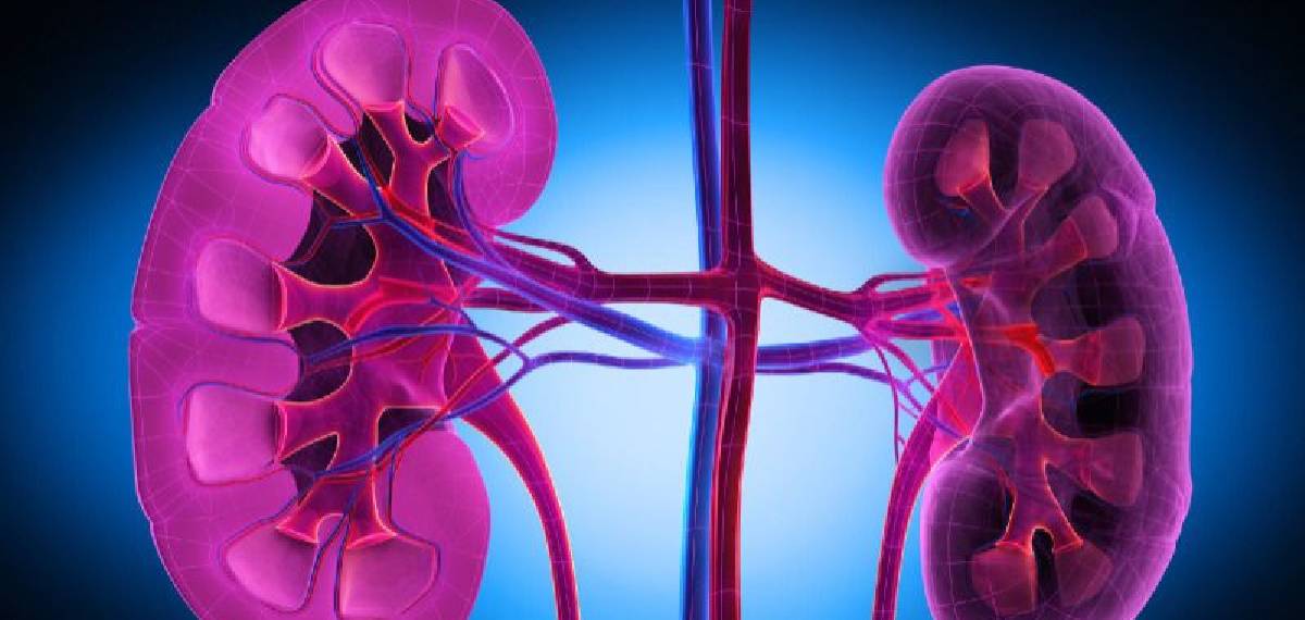 painkillers that affect the kidneys