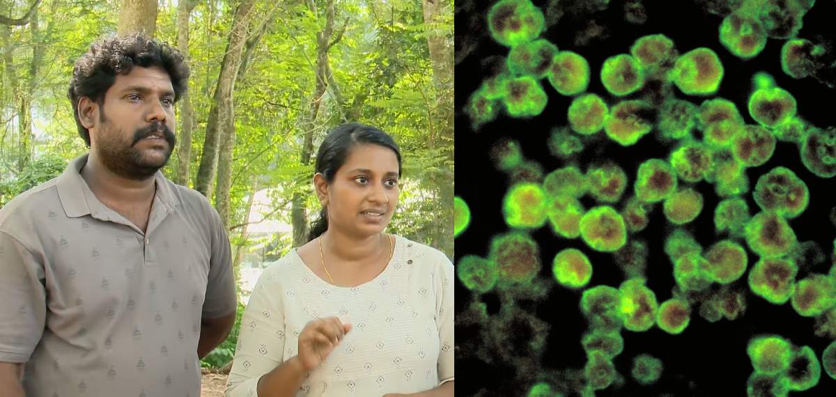 അമീബിക്ക് മസ്തിഷ്കജ്വരം ബാധിച്ച 3വയസുകാരിക്ക് രോഗനിർണ്ണയം നടത്താതെ ചികിത്സ,പുഷ്പഗിരി ആശുപത്രിക്കെതിരെ കുടുംബം