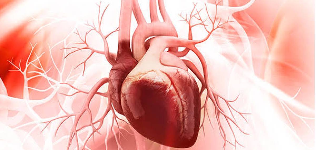 Heart IQ Score