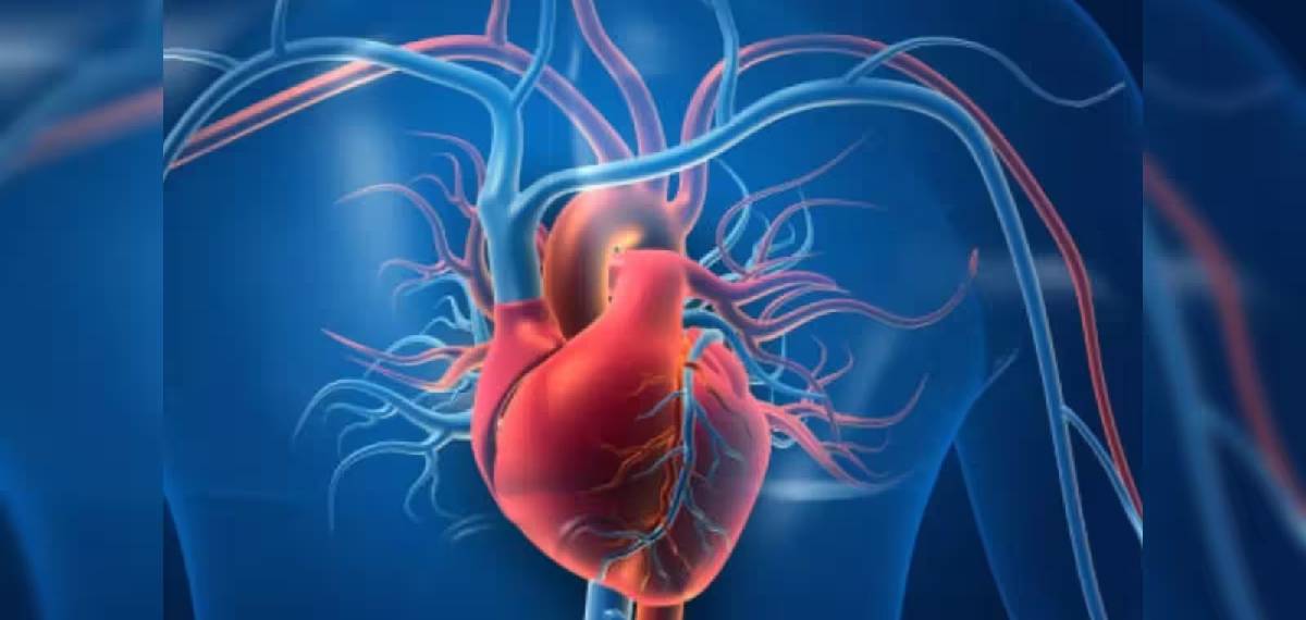 Heart IQ Score