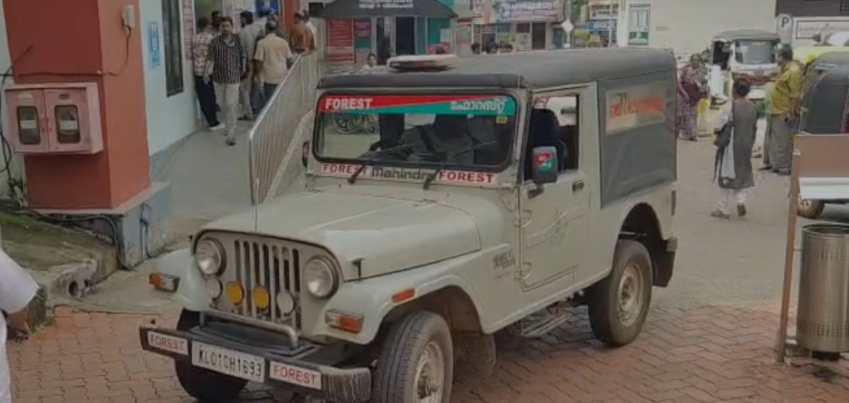 വീണ്ടും ജീവനെടുത്ത് കാട്ടാന; കൊല്ലത്ത് 80കാരിക്ക് ദാരുണാന്ത്യം