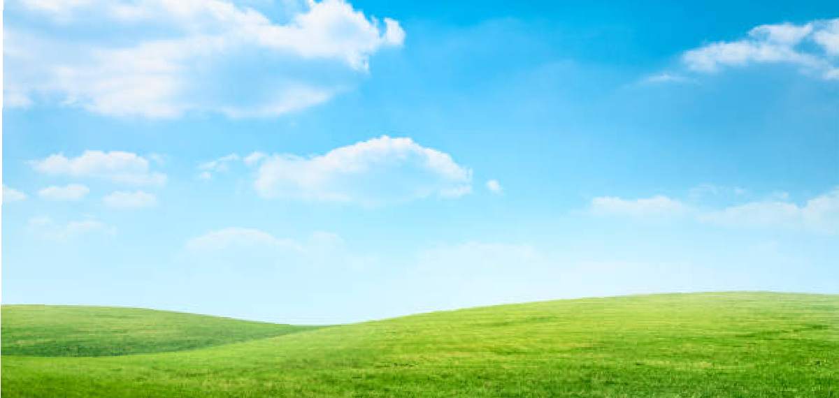 sky appear blue