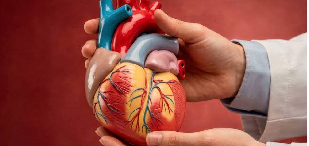 chronic stress cause a heart attack