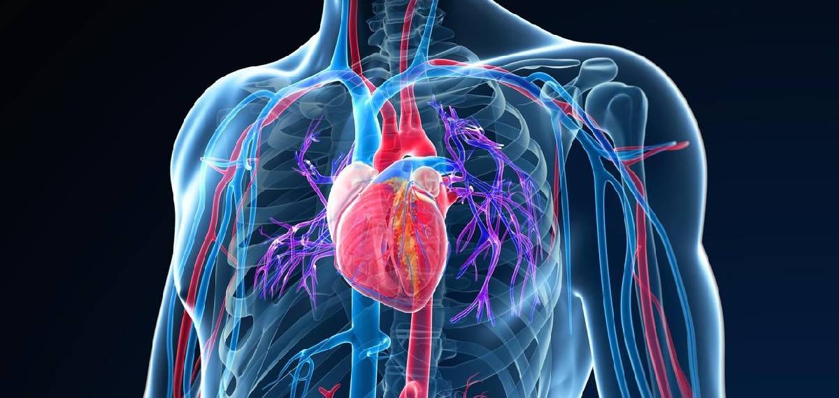 chronic stress cause a heart attack