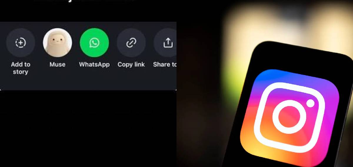 'Muse' going viral on Instagram