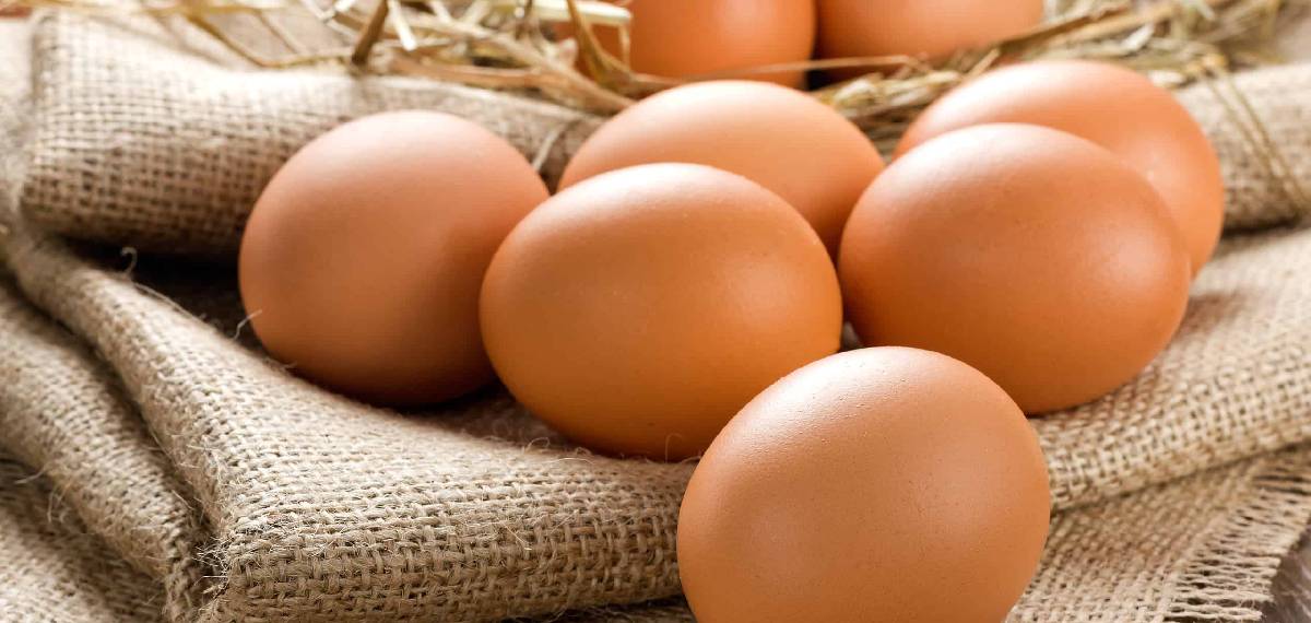 world egg day 2026