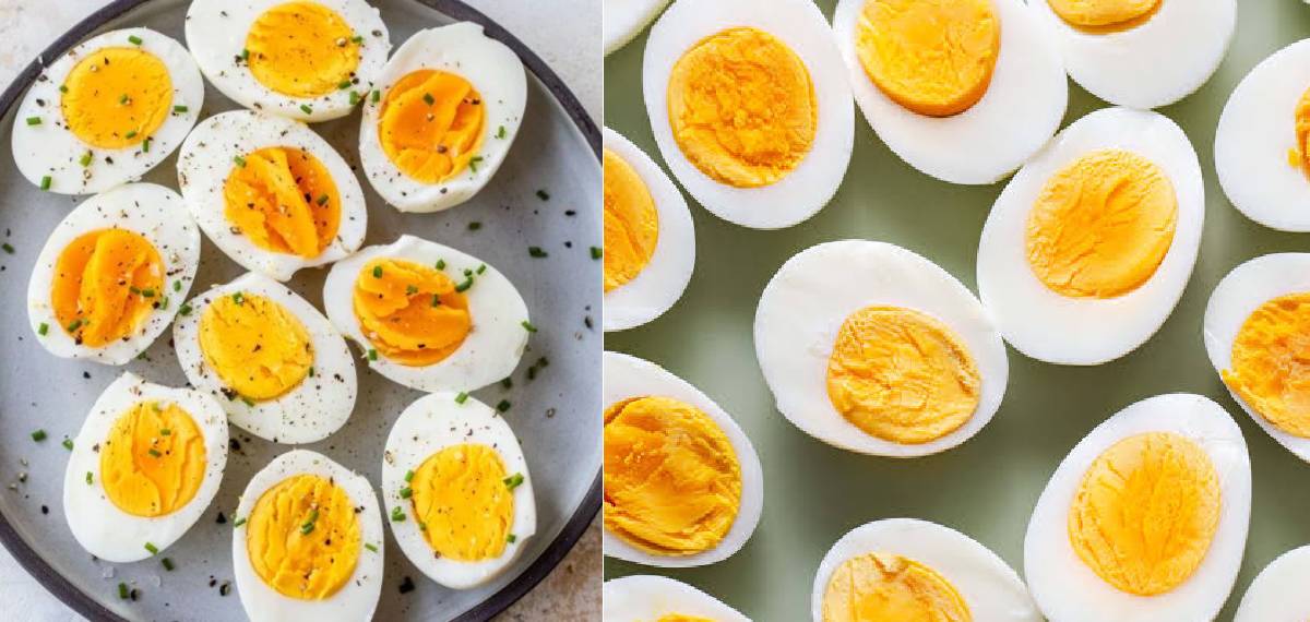 world egg day 2026