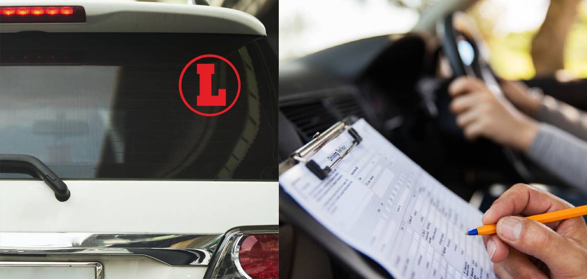 learner's license