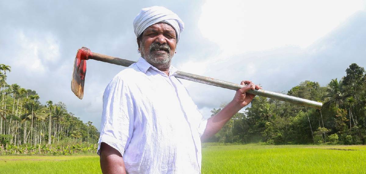 Kurchiya tribal, Cheruvayal Raman is keeping alive the district’s distinct paddy varieties – Chennelu, Thondi, Chembakam, Veliyan, Gandhakasala, Kayama and others. It's a labour of love for this celebrated farmer who sees landraces as custodians of the region's fast changing agrarian history