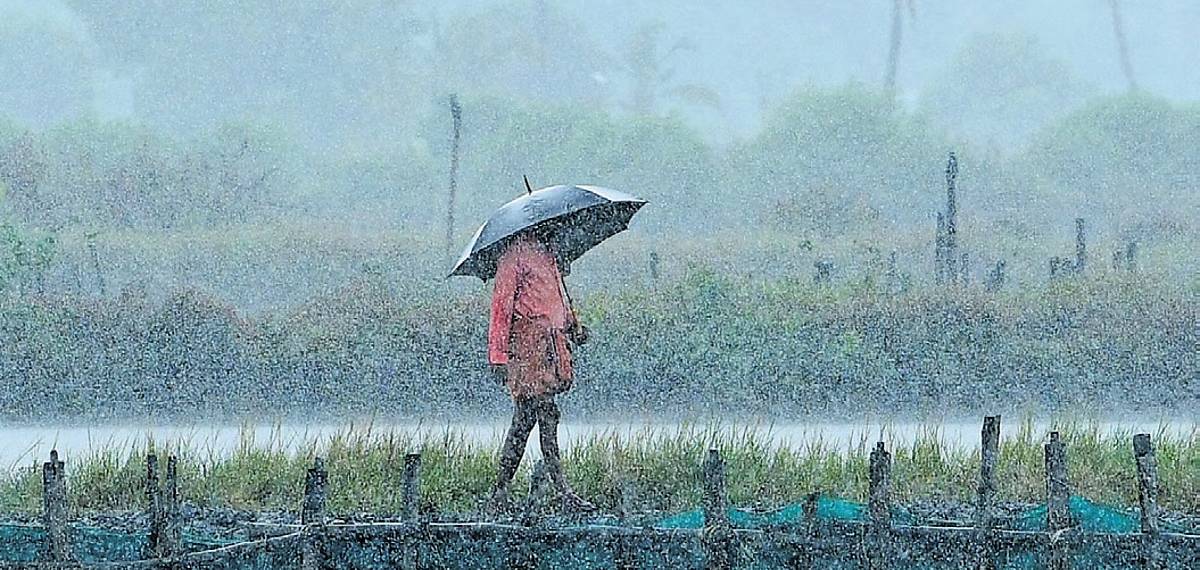 സംസ്ഥാനത്ത് അടുത്ത അഞ്ച് ദിവസം മഴ തുടരും; മുഴുവന് ജില്ലകളിലും ഇന്ന് യെല്ലോ അലര്ട്ട്