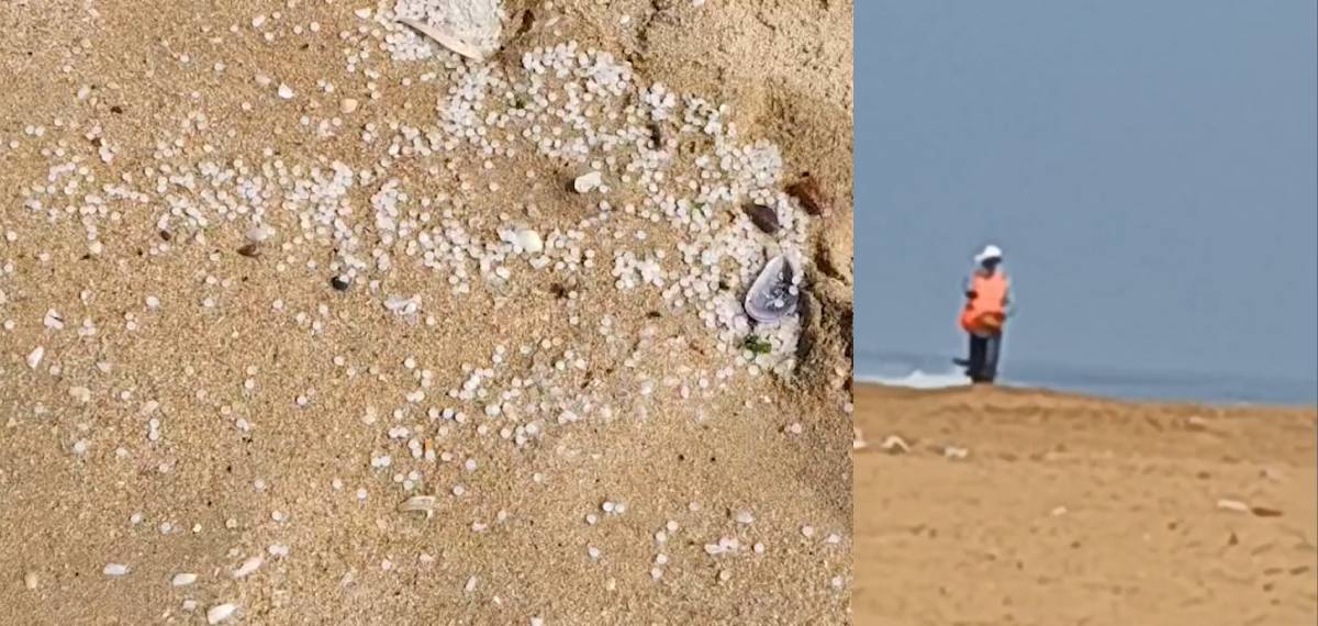 MSC എൽസ കപ്പലപകടത്തിന് പിന്നാലെ വൻ തട്ടിപ്പ്; പ്ലാസ്റ്റിക്ക് നർഡിൽസ് കടൽത്തീരത്ത് വിതറി തട്ടിപ്പിന് ശ്രമം