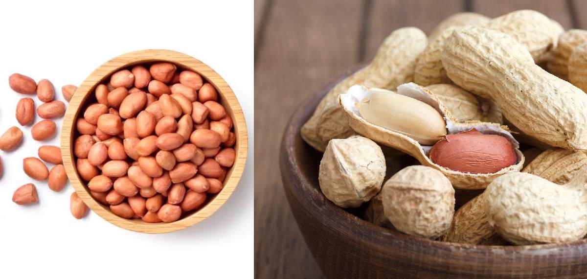 get protein without eating eggs