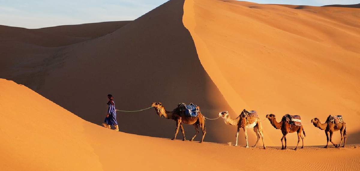 day and night in the desert