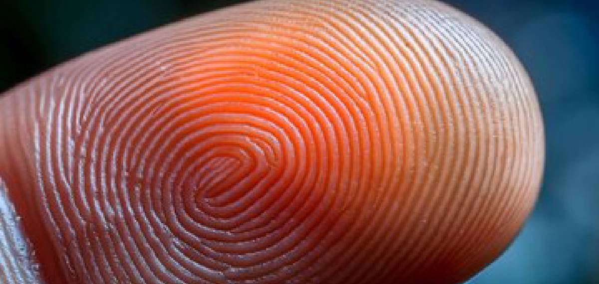  childhood fingerprints do not change