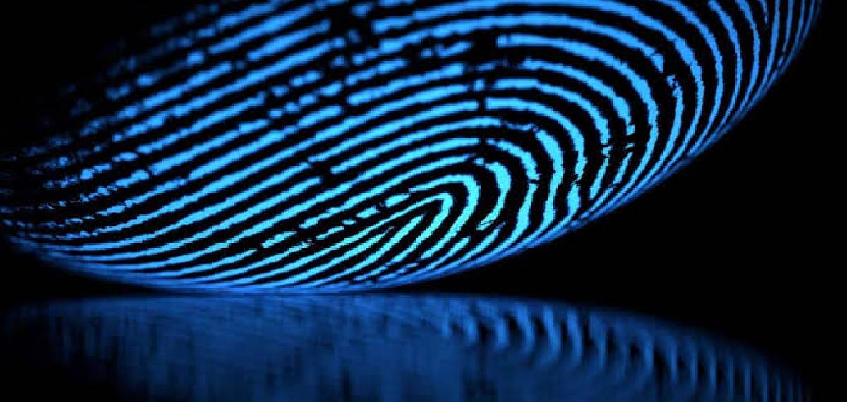  childhood fingerprints do not change