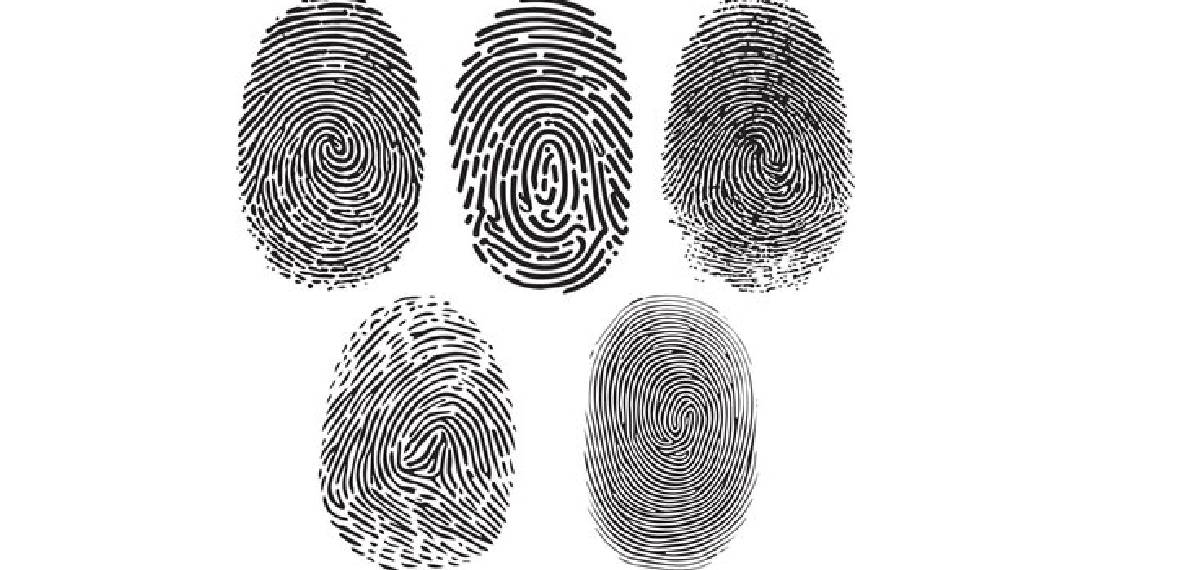  childhood fingerprints do not change