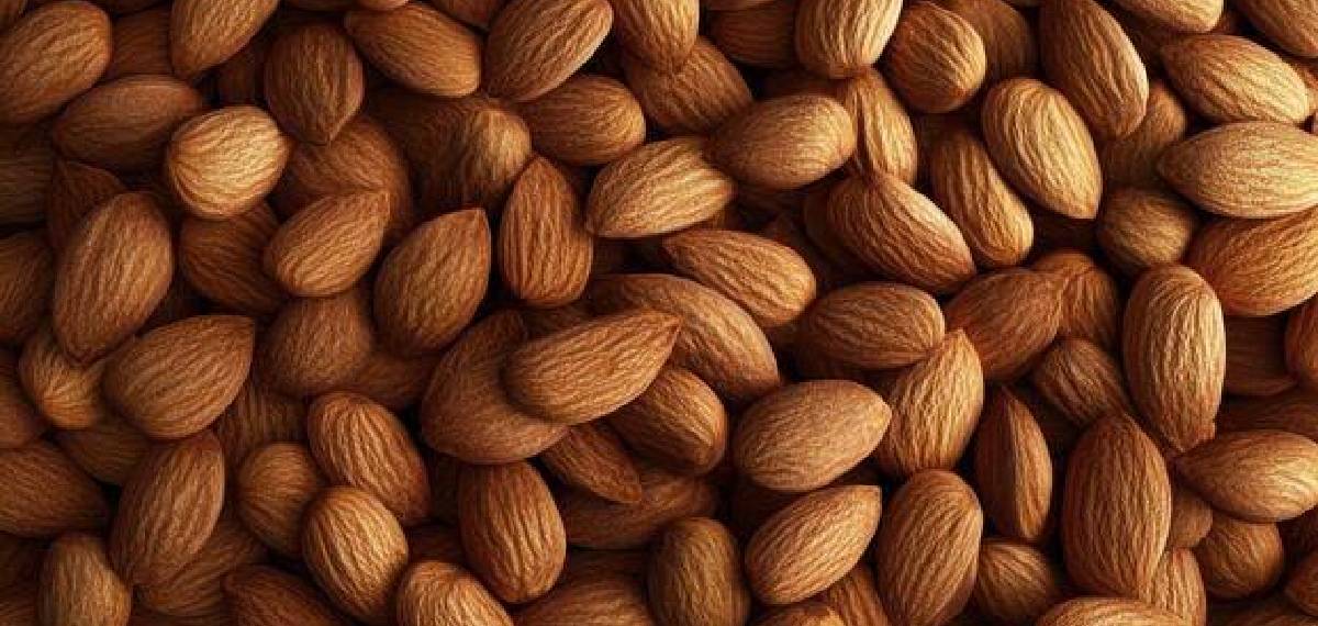 Is it healthier to eat soaked almonds
