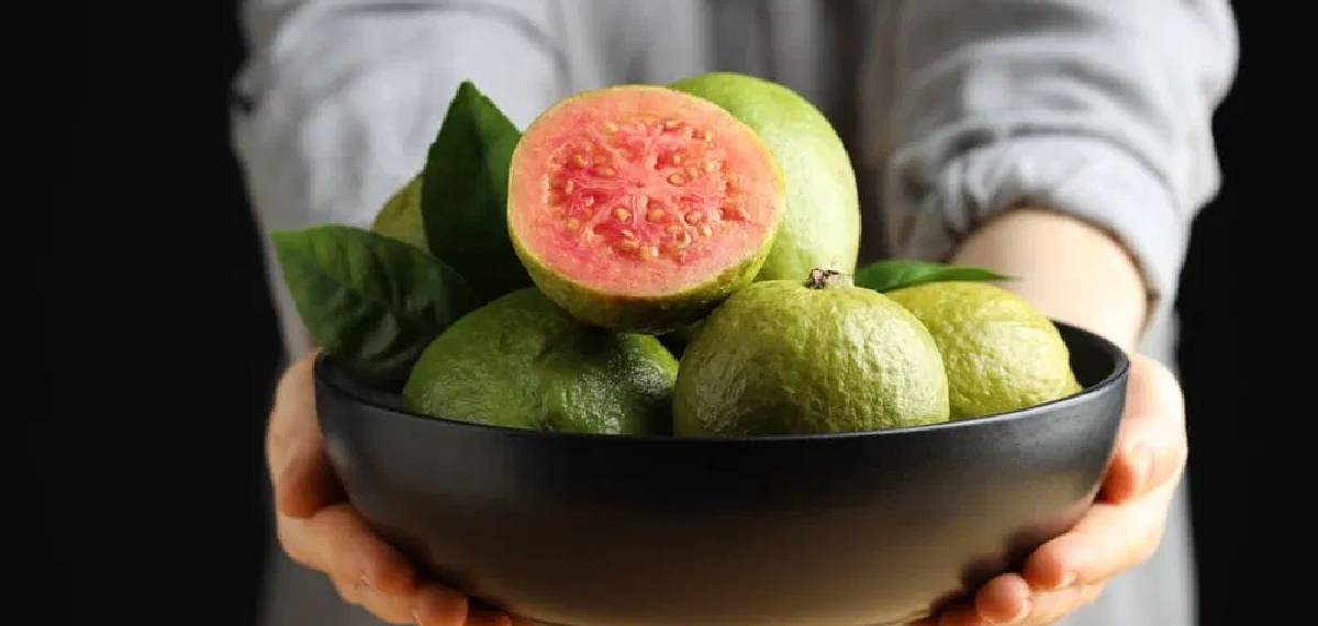 eating guava every morning