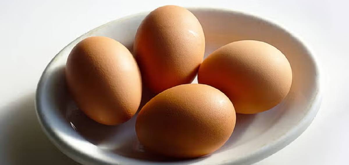 protein-content-in-an-egg