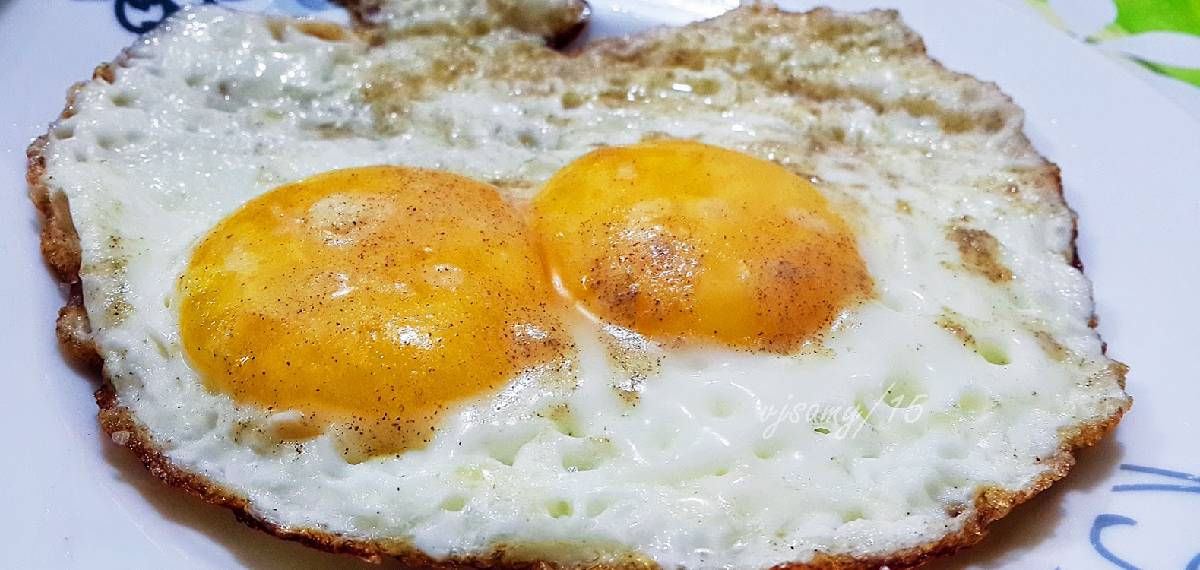 protein-content-in-an-egg