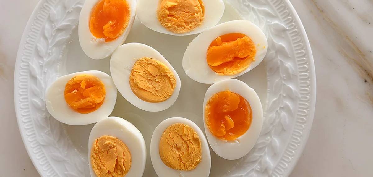 protein-content-in-an-egg