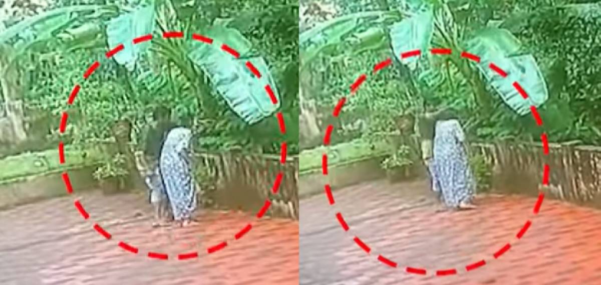 പറമ്പിൽ പാമ്പുണ്ടെന്ന് പറഞ്ഞ് വീടിന് പുറത്തിറക്കി; ഞൊടിയിടയിൽ 82 കാരിയുടെ മാല പൊട്ടിച്ചോടി മോഷ്ടാവ്