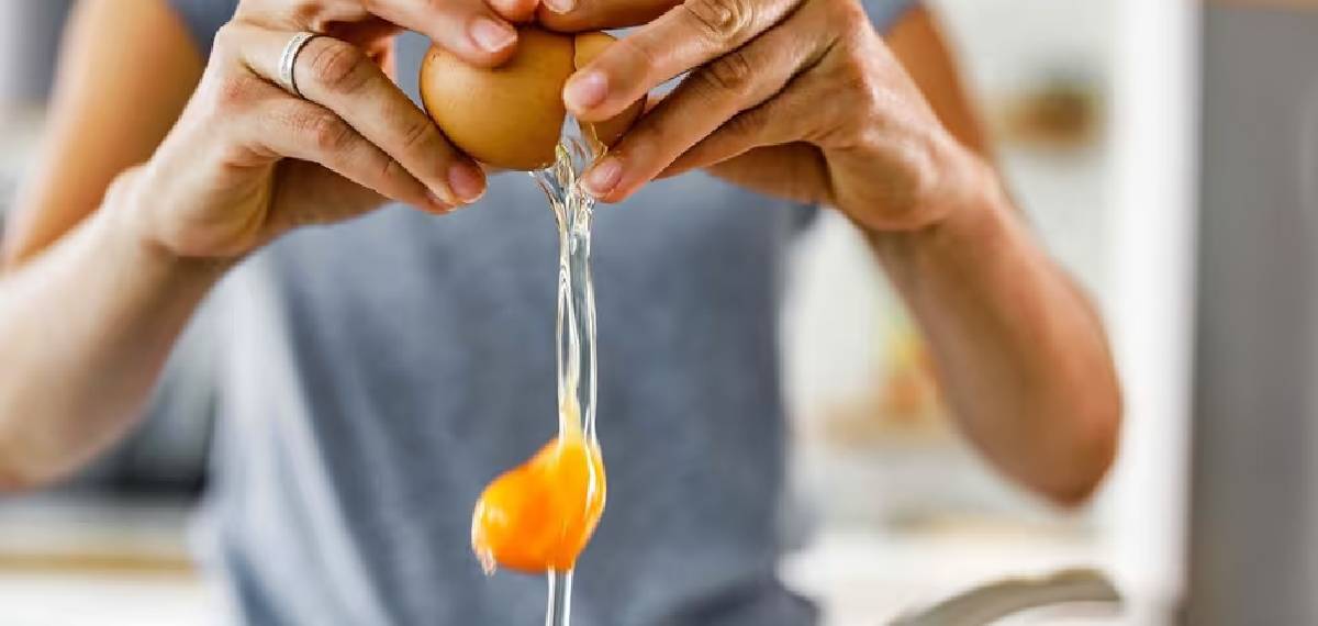 egg good or bad test