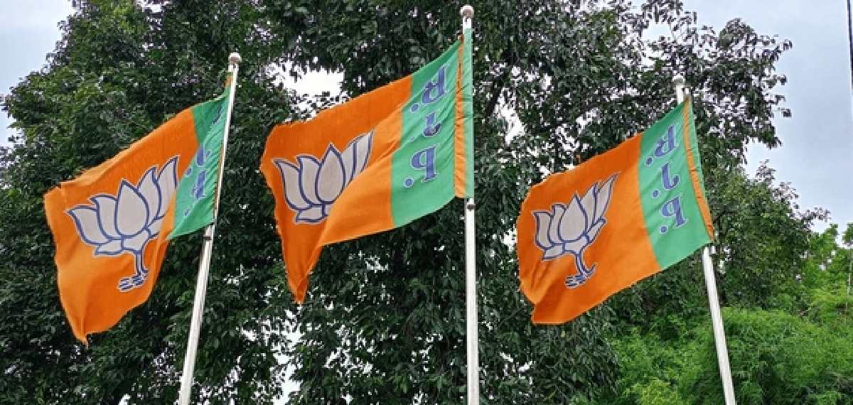 പാലായിൽ ഷോൺ?; ബിജെപിക്ക് വിജയസാധ്യതയുള്ള മണ്ഡലങ്ങളിലെ സ്ഥാനാർത്ഥികളെ ഇന്ന് തീരുമാനിച്ചേക്കും