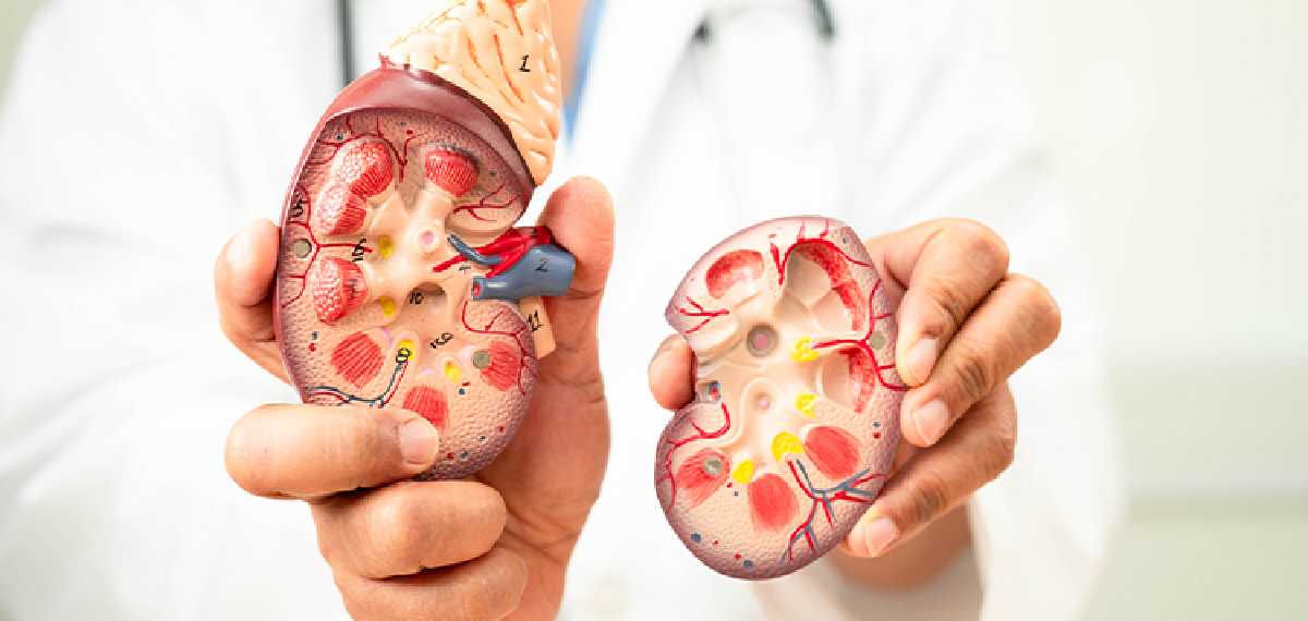 blood pressure and kidney cancer