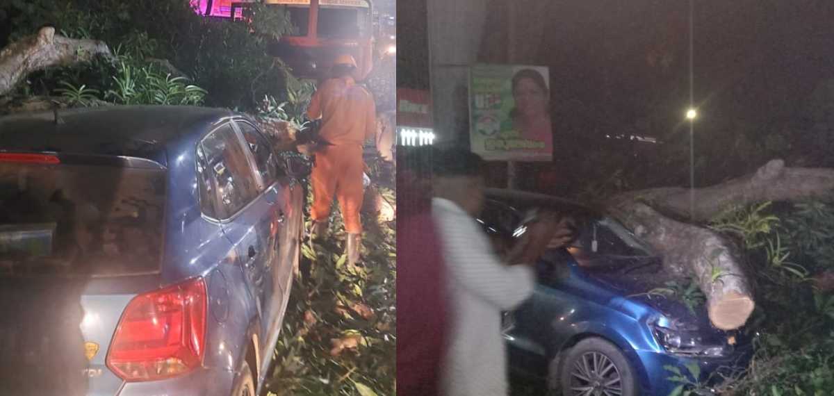 കാർ റോഡരികിൽ പാർക്ക് ചെയ്ത് ഫോൺ വിളിക്കാൻ പുറത്തിറങ്ങി; തിരുവനന്തപുരത്ത് മരം കടപുഴകി വീണ് 55കാരന് ദാരുണാന്ത്യം