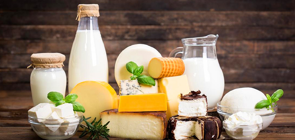 ആശങ്കയുയര്ത്തി പുതിയ പഠനം; പാലും പാല് ഉത്പന്നങ്ങളും ഹൃദയാരോഗ്യത്തെ ദോഷകരമായി ബാധിക്കുമോ?